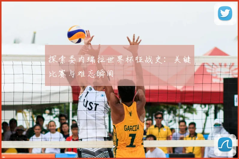 探索委内瑞拉世界杯征战史:关键比赛与难忘瞬间